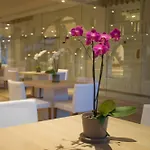 Sandy & 5* Larnaca