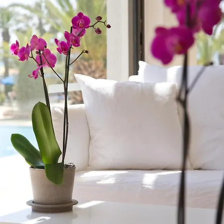 Sandy & - Ex Sentido فندق