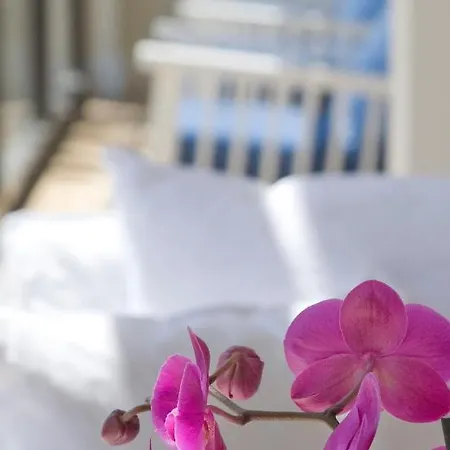 Sandy & - Ex Sentido Otel 5*