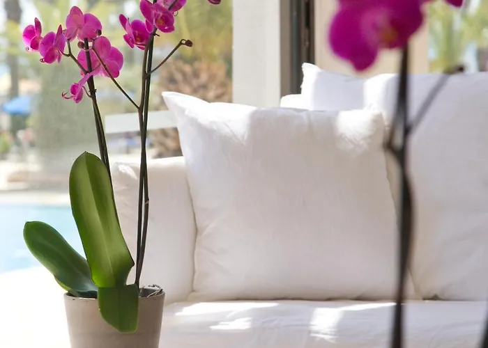 Sandy & - Ex Sentido Hotel