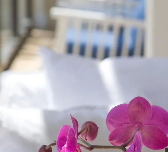 Sandy & - Ex Sentido Hotel 4*