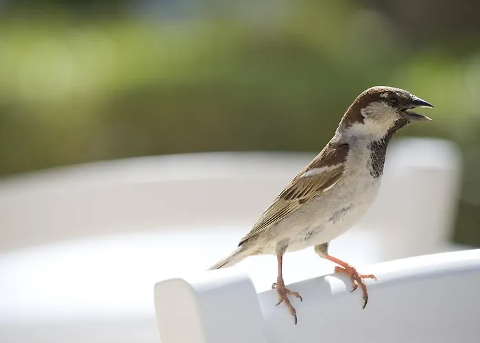 Sandy & - Ex Sentido 4* Larnaca